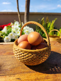BloomNest – Easter Basket 🧺🥚 (Basket Only)