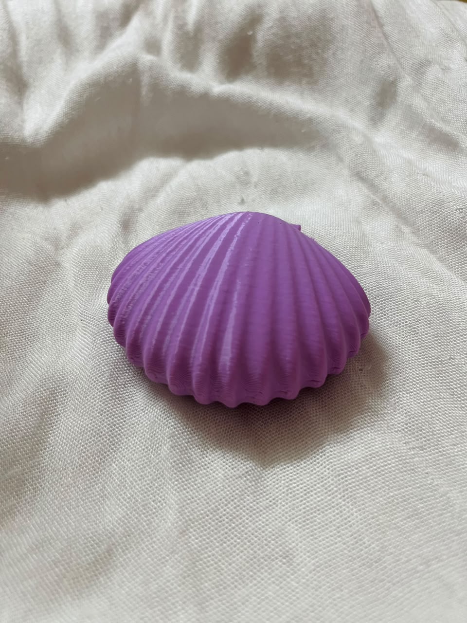 Three Seashell Pocket Mirrors™