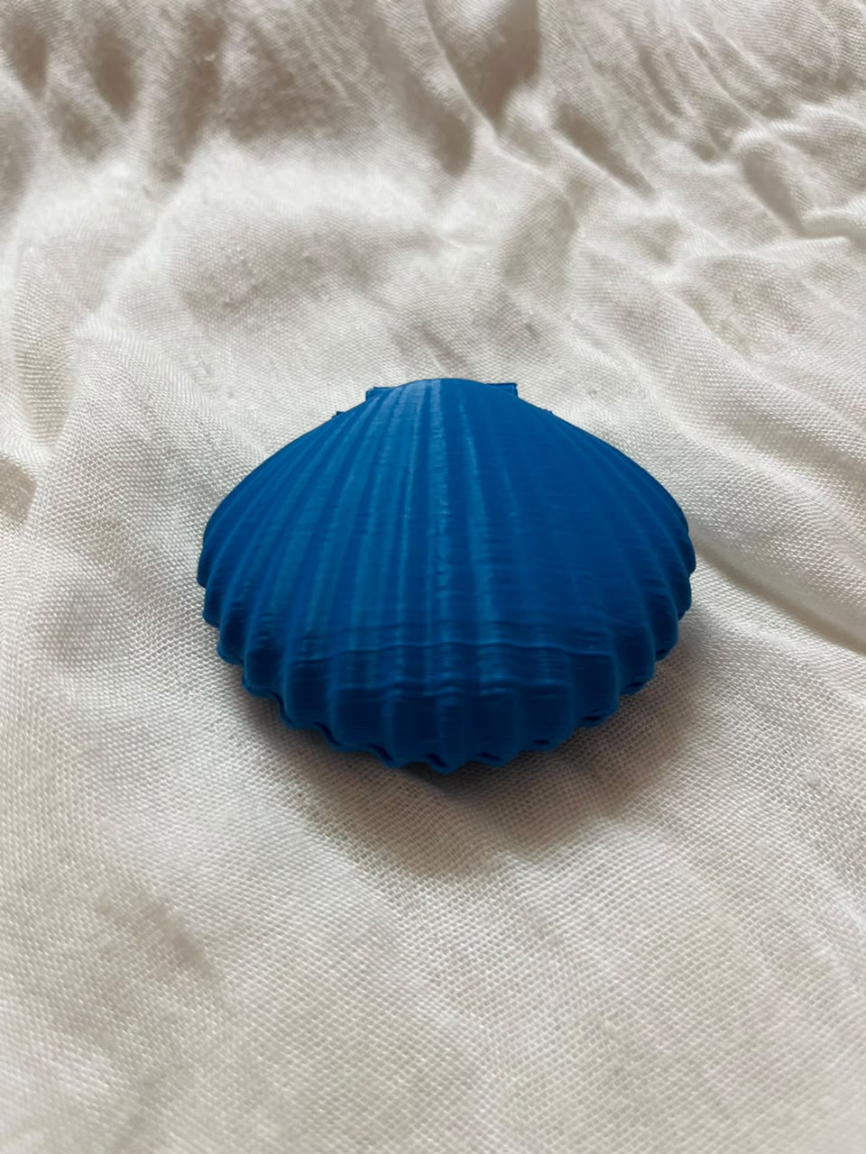 Three Seashell Pocket Mirrors™
