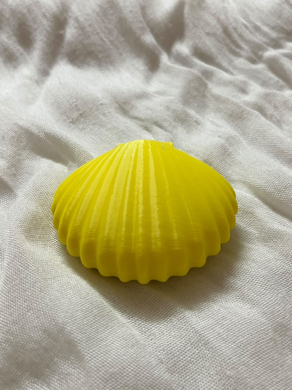 Three Seashell Pocket Mirrors™