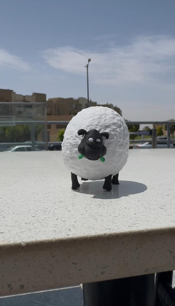 Sheepy Eidiya – Surprise Holder 🐑💸